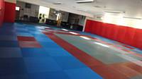 Rochdale Judo Club, Dojo (training hall)